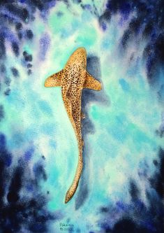 a painting of a shark swimming in the ocean