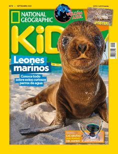 a magazine cover with an image of a sea lion on the front and back covers