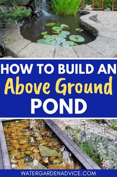 how to build an above ground pond in the garden with text overlay that reads, how to build an above ground pond