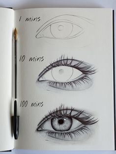 an open book with drawings of different types of eyes