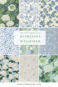 the most beautiful hydrangea wallpapers in blue and green are on display