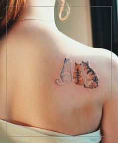 the back of a woman's shoulder with two cats on it