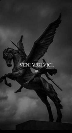 a black and white photo with the words veni vidi vici on it