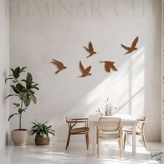 birds flying over a table with chairs and potted plants in the corner, against a white wall