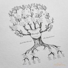 a drawing of a tree with the names and branches labeled in each section on it