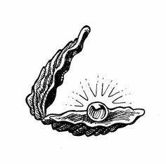 an ink drawing of a seashell on a plate with the sun shining through it