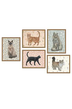 four framed pictures with cats on them in different colors and sizes, one cat is sitting down