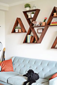 a dog is sitting on the couch in front of shelves that are made out of wood