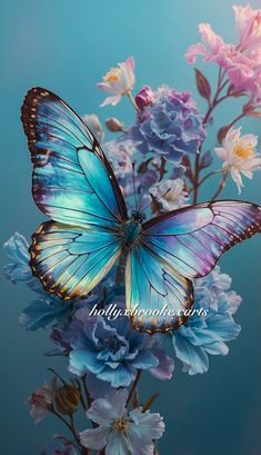 a blue butterfly sitting on top of some purple and white flowers in front of a blue background