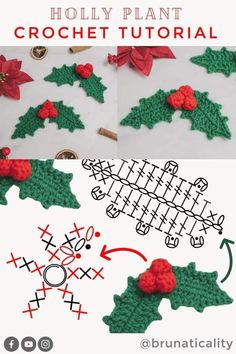 crochet holly plant pattern with instructions to make it