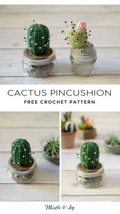 cactus pincushion is shown in three different pictures