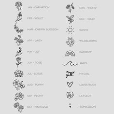 the different flowers and their names are shown in black ink on a gray background with white lettering