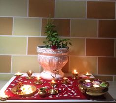 a table topped with lots of candles next to a potted plant