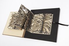 an open book with trees drawn on the pages and ribbon tied around it's edges