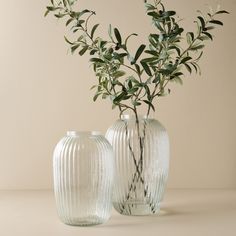 two glass vases with plants in them on a table