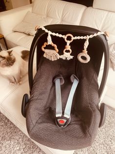 a cat laying on the floor next to a car seat