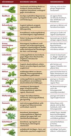 the different types of herbs and their uses