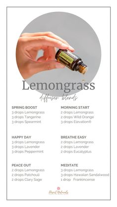 Lemongrass Roller Blends, Lemon Grass Oil Benefits, Lemon Grass Essential Oil Benefits, Lemongrass Diffuser Blends, Bath Oil Recipe, Essential Oil Roller Bottle Recipes, Making Essential Oils