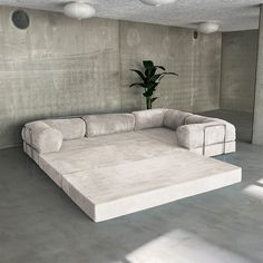 a white couch sitting in the middle of a room next to a potted plant