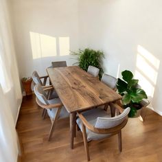 a dining room table with chairs and a potted plant