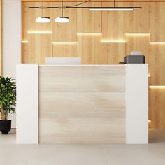 an empty reception area with wooden paneling and lights on the wall, along with a potted plant