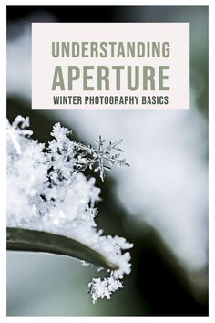 a snowflake with the words, understanding aperture winter photography basics