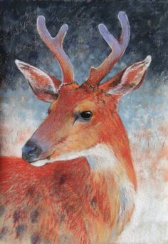 Deer Ephemera Loes Botman | Alder & Alouette Deer Painting, Deer Art, Nature Table, A Deer, Hello Baby, Art Card, Spring Inspiration, Pretty Cards, Pastel Painting