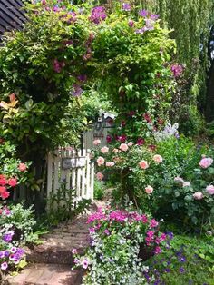 a garden with lots of flowers and greenery