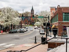 cars are driving down the street in front of buildings and trees with white flowers on them