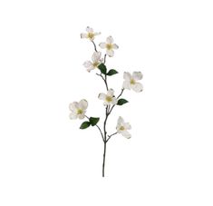 white flowers with green leaves against a white background in the shape of a twig