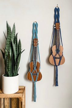 three plants are hanging on the wall next to two macrame plant hangers