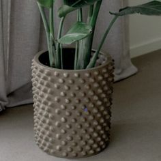 a potted plant sitting on top of a floor next to a window sill