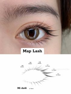 Korean Eyelash Extensions Styles, Lower Eyelash Extensions, Douyin Lash Extensions, Chinese Lash Extensions, Eyelash Extensions Korean, Lashes Ideas, Bentuk Alis