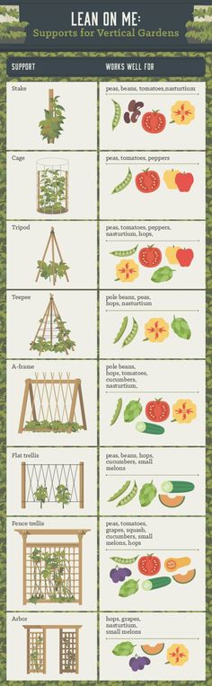 an illustrated poster showing different types of vegetables