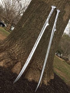 an arrow stuck in the bark of a tree