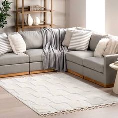 a living room filled with furniture and a white rug