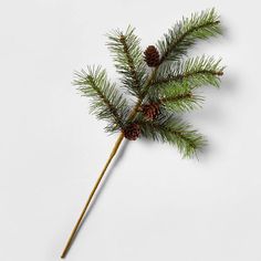 a pine branch with cones on it is sitting on a white surface, ready to be used as an ornament