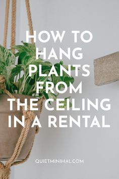 a plant hanging from a rope with the words how to hang plants from the ceiling in a rental apartment