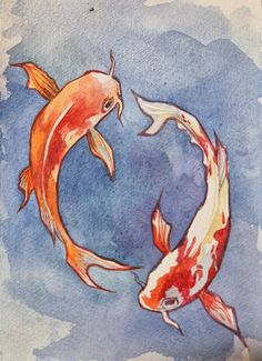 two orange and white koi fish swimming in the water with blue sky behind them