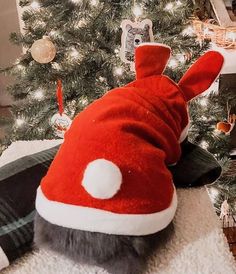 a cat wearing a santa hat sitting in front of a christmas tree