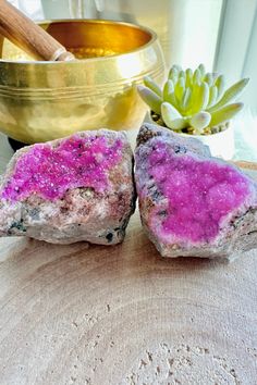 two pink rocks sitting on top of a table next to a potted succulent