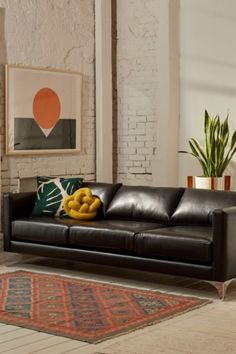 a living room with a couch, rug and potted plant