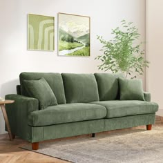 a living room scene with focus on the green couch and rug, there is a potted plant in the corner