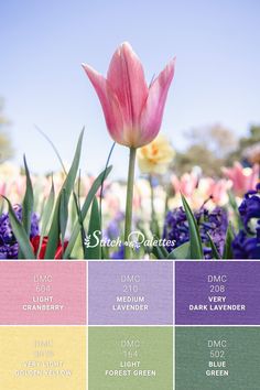 the color scheme for spring is shown with tulips and other flowers in bloom