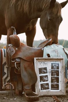 a brown horse standing next to a saddle on top of a dirt field with other items