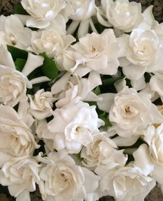 a bouquet of white flowers sitting on top of a table