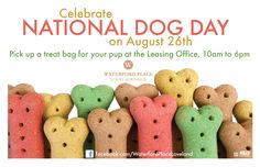 an advertisement for the national dog day on august 20th, with dogs in different colors and sizes