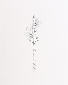 a drawing of some flowers on a white paper with the word love written in cursive writing