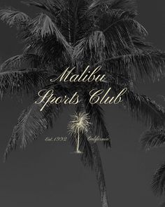 a palm tree with the words malua sports club on it's back ground