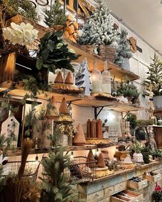 a store filled with lots of shelves covered in plants and potted trees next to each other